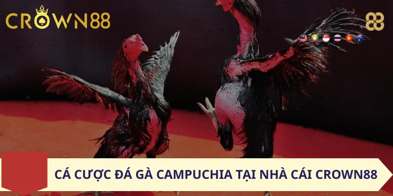 Cá Cược Đá Gà Campuchia Tại Nhà Cái Crown88