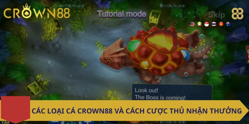 Các Loại Cá Crown88 và Cách Cược Thủ Nhận Thưởng
