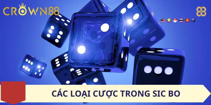 Các Loại Cược Trong Sic Bo