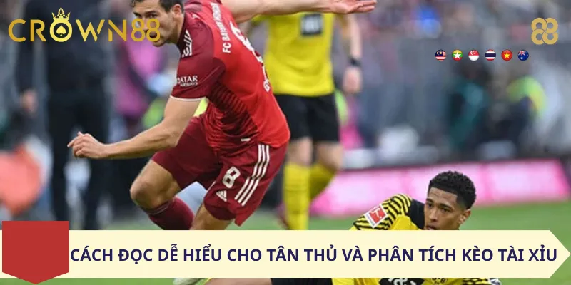 Cách đọc dễ hiểu cho tân thủ và phân tích kèo Tài Xỉu