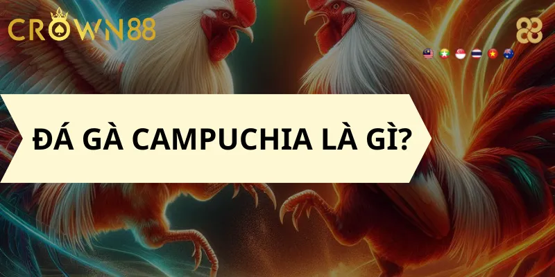 Đá Gà Campuchia là gì?