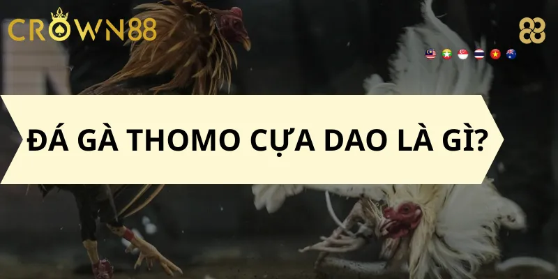 Đá Gà Thomo Cựa Dao Là Gì?