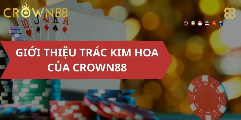 Giới Thiệu Trác Kim Hoa Của Crown88