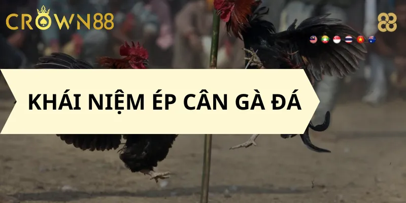 Khái niệm ép cân gà đá