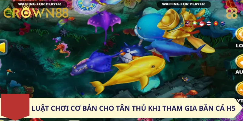 Luật Chơi Cơ Bản Cho Tân Thủ Khi Tham Gia Bắn Cá H5
