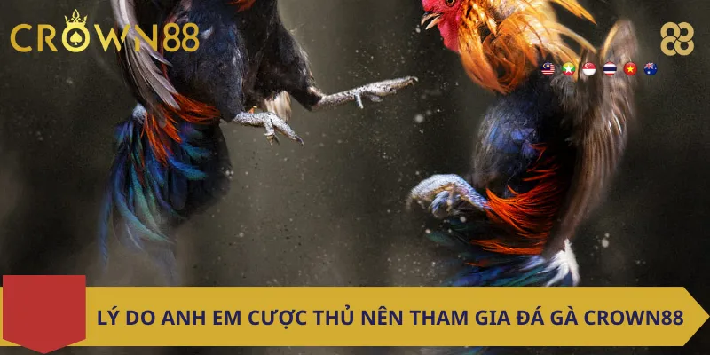 Lý Do Anh Em Cược Thủ Nên Tham Gia Đá Gà Crown88