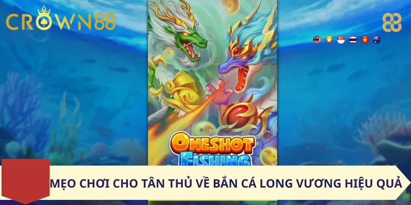Mẹo Chơi Cho Tân Thủ Về Bắn Cá Long Vương Hiệu Quả