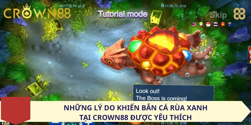 Những lý do khiến bắn cá rùa xanh tại Crown88 được yêu thích